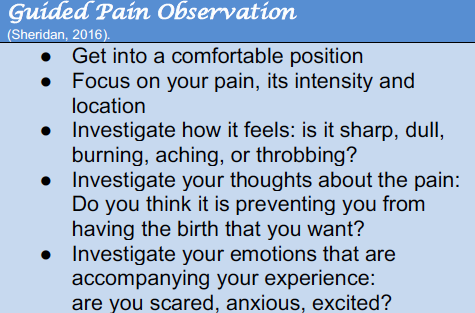 Guided Pain Observation